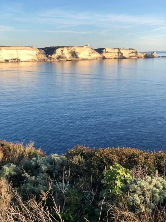 Camping L'Oso Porto-Vecchio  Bagian luar foto