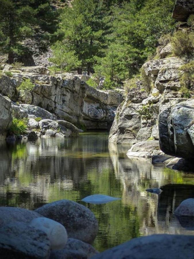 Camping L'Oso Porto-Vecchio  Bagian luar foto