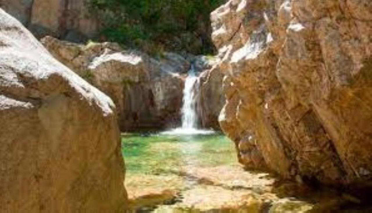 Camping L'Oso Porto-Vecchio  Bagian luar foto